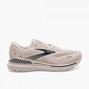 Scarpe Lifestyle Uomo Brooks Adrenaline GTS 23 Grigie Grigie | 854270-WEL